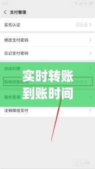 实时转账