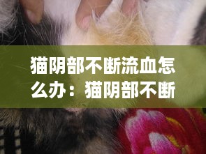 踊贵屦贱 第2页