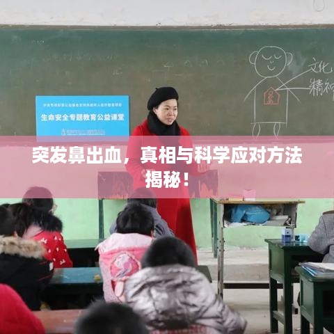 突发鼻出血，真相与科学应对方法揭秘！