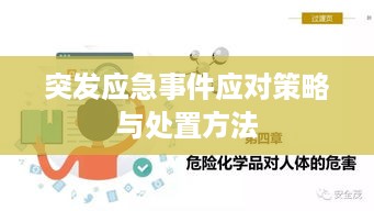 突发应急事件应对策略与处置方法