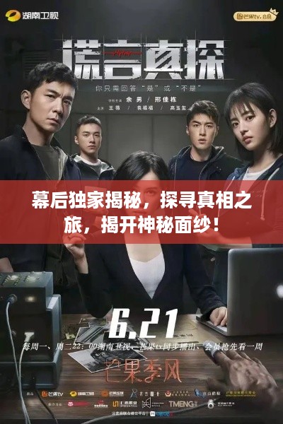 幕后独家揭秘，探寻真相之旅，揭开神秘面纱！