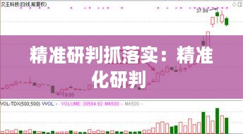 精准研判抓落实：精准化研判 