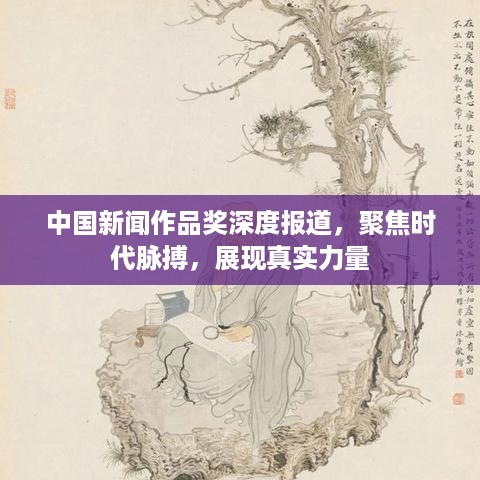 中国新闻作品奖深度报道，聚焦时代脉搏，展现真实力量