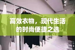 高效衣物，现代生活的时尚便捷之选