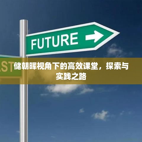 储朝晖视角下的高效课堂，探索与实践之路