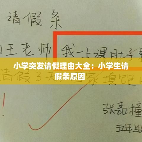 小学突发请假理由大全：小学生请假条原因 
