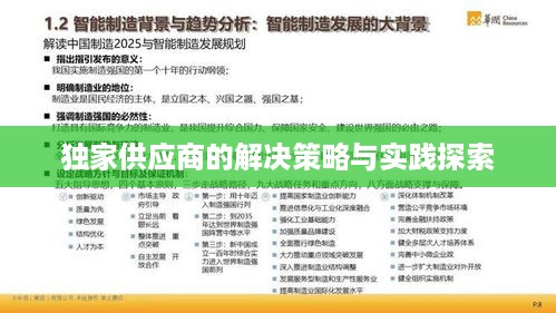 独家供应商的解决策略与实践探索