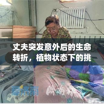 10使用二八 第2页