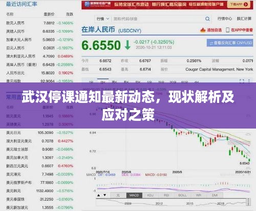 通知资讯 第253页