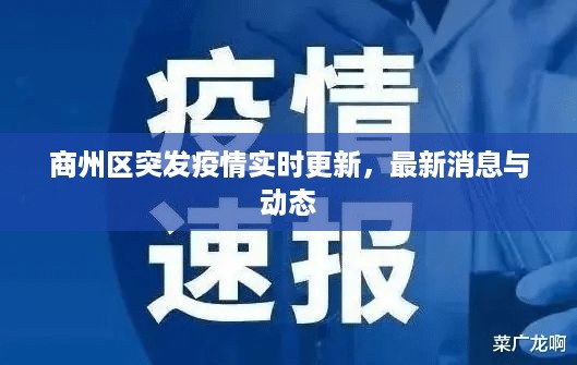 商州区突发疫情实时更新，最新消息与动态