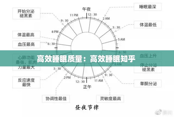 高效睡眠质量：高效睡眠知乎 