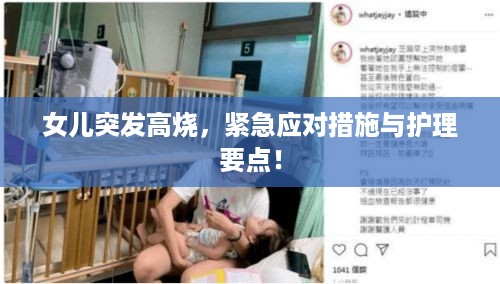 鸷鸟不群 第3页