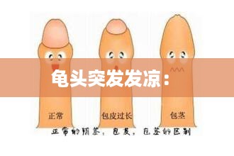 通知资讯 第252页