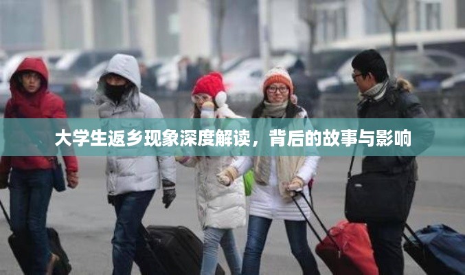 大学生返乡现象深度解读，背后的故事与影响