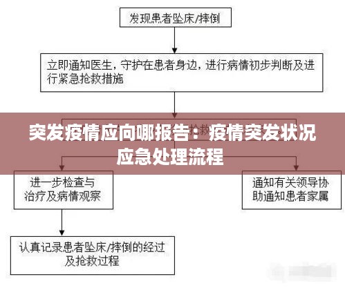 突发疫情应向哪报告：疫情突发状况应急处理流程 