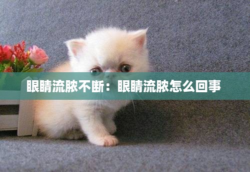 眼睛流脓不断：眼睛流脓怎么回事 