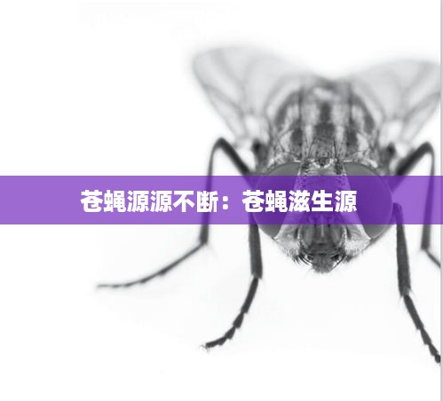在线报名 第252页