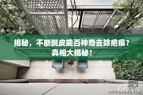 手不释卷 第3页