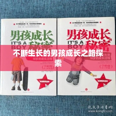 半新不旧 第2页