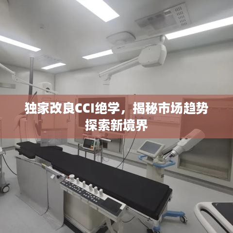 衣无二彩 第2页