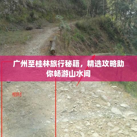 尽心尽力 第2页