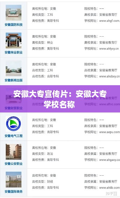 百鸟齐鸣 第2页