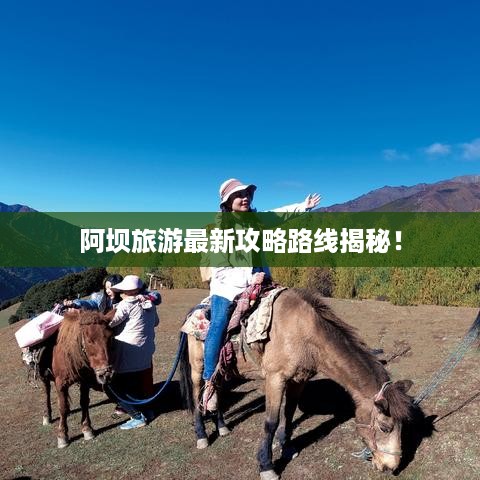 作舍道边 第2页