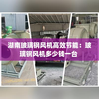 轻徙鸟举 第2页