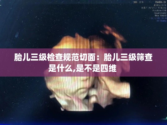 胎儿三级检查规范切面：胎儿三级筛查是什么,是不是四维 
