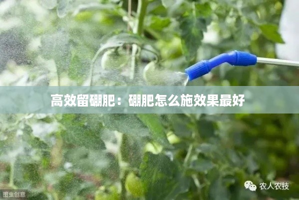 行百里者半九十 第2页