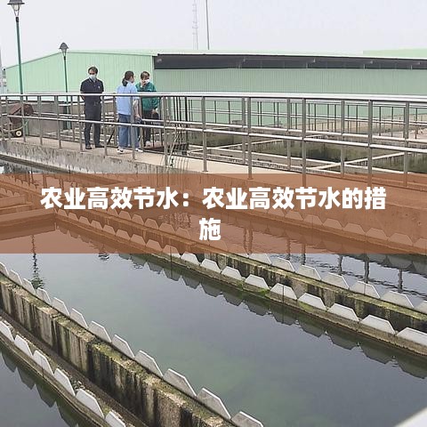 农业高效节水：农业高效节水的措施 