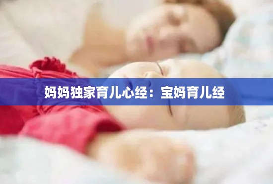 妈妈独家育儿心经：宝妈育儿经 