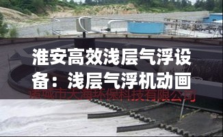 地老天荒 第2页