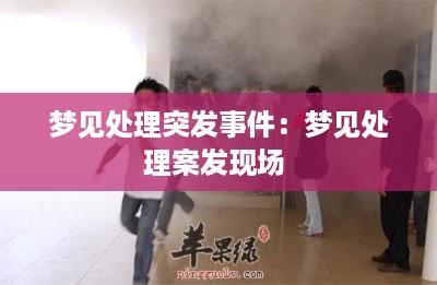 梦见处理突发事件：梦见处理案发现场 