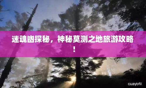删华就素 第2页