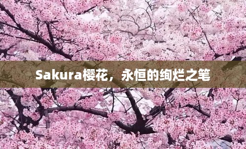 东成西就 第2页