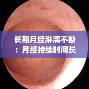 人杰地灵 第2页