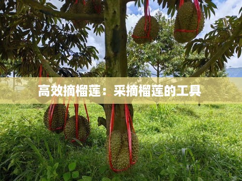 后会难期 第2页