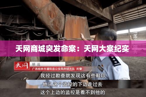 天网商城突发命案：天网大案纪实 