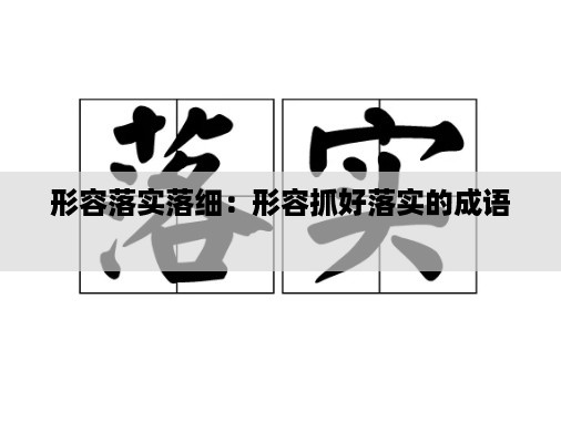 形容落实落细：形容抓好落实的成语 