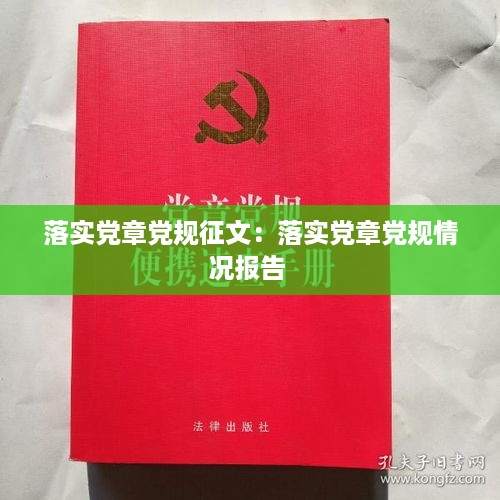 落实党章党规征文：落实党章党规情况报告 