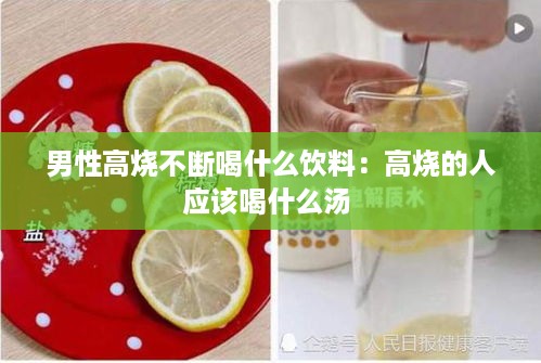 铺张扬厉 第2页