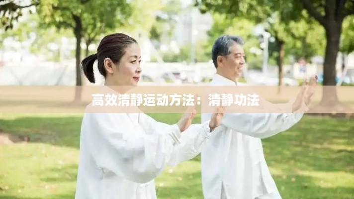 高效清静运动方法：清静功法 