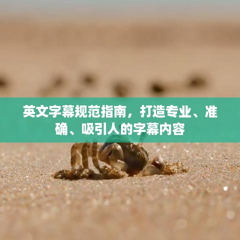 英文字幕规范指南，打造专业、准确、吸引人的字幕内容