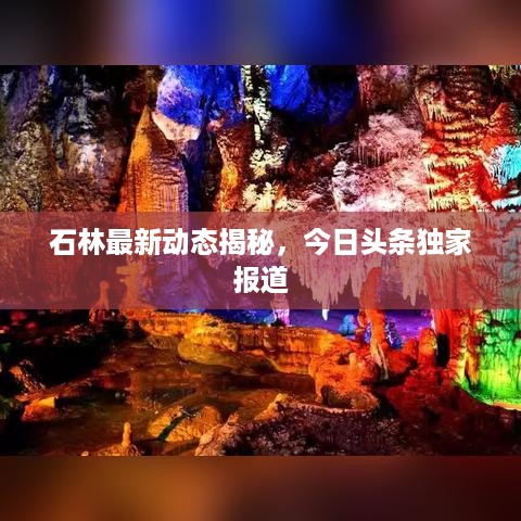 石林最新动态揭秘，今日头条独家报道