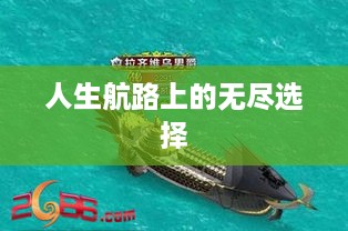 人生航路上的无尽选择