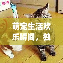 慷慨就义 第2页