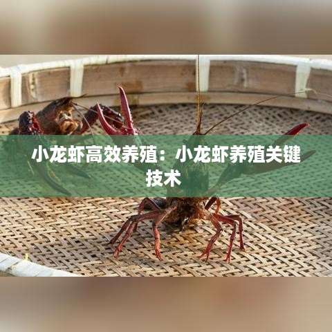 粗制滥造 第2页