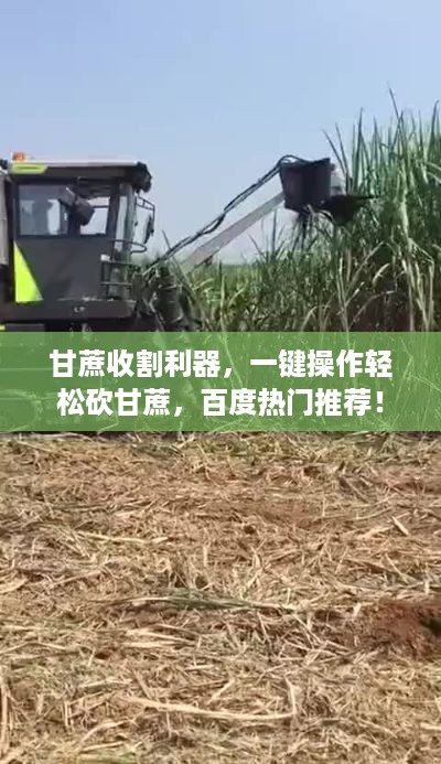 学贯中西 第2页