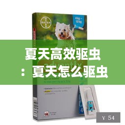 淼淼二六 第2页